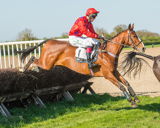 Race 6 - The Open Maiden Race (79 of 120).jpg