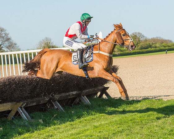 Race 6 - The Open Maiden Race (81 of 120).jpg