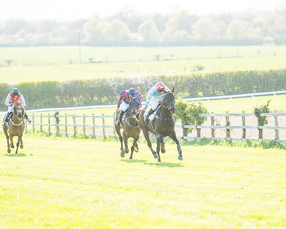 Race 6 - The Open Maiden Race (89 of 120).jpg