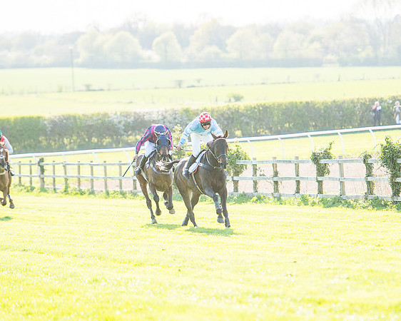 Race 6 - The Open Maiden Race (90 of 120).jpg
