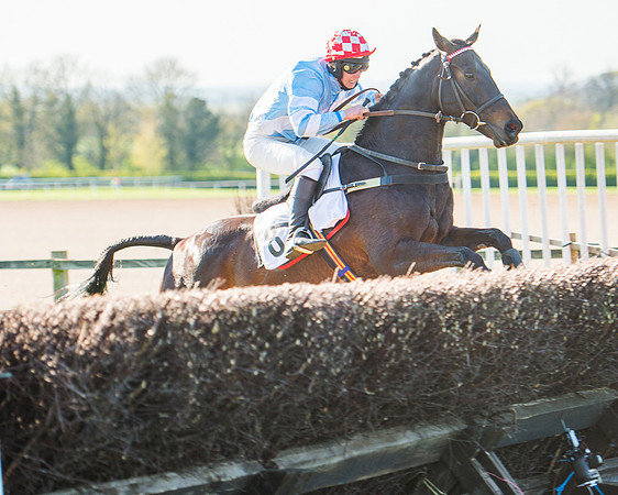 Race 6 - The Open Maiden Race (91 of 120).jpg