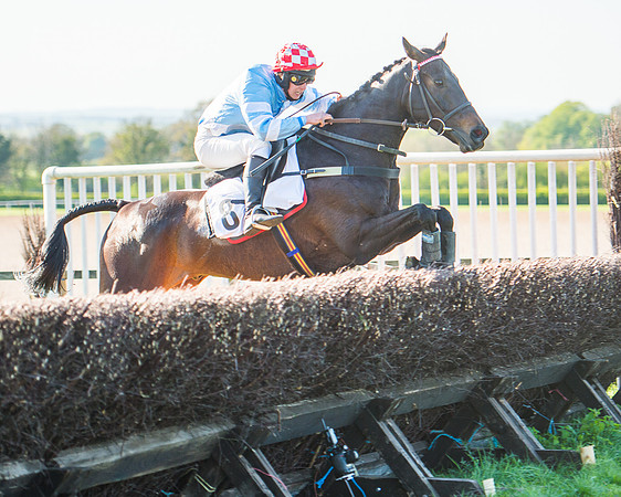 Race 6 - The Open Maiden Race (92 of 120).jpg