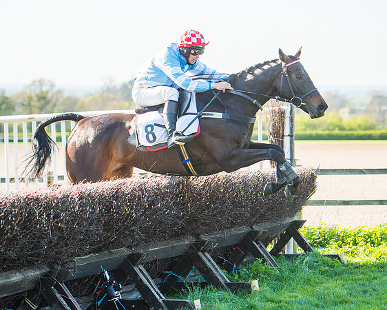 Race 6 - The Open Maiden Race (93 of 120).jpg