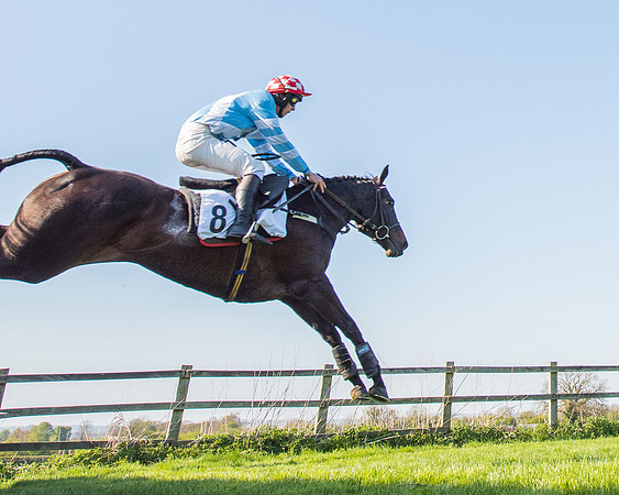 Race 6 - The Open Maiden Race (94 of 120).jpg