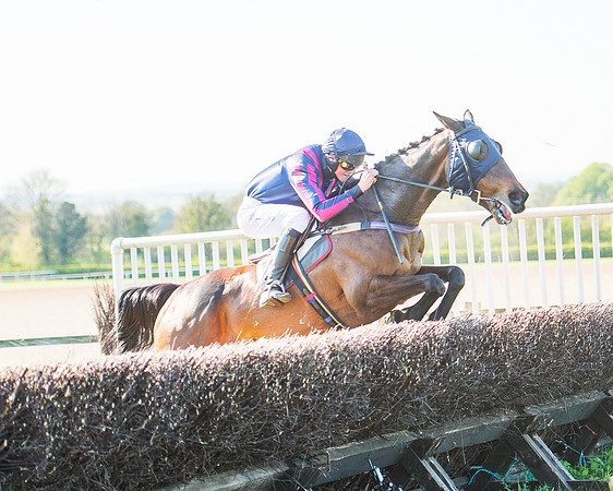 Race 6 - The Open Maiden Race (95 of 120).jpg