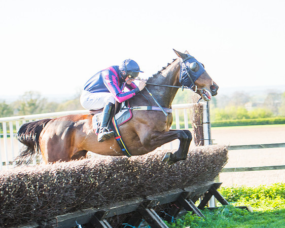 Race 6 - The Open Maiden Race (96 of 120).jpg