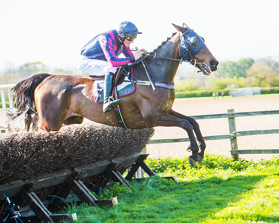 Race 6 - The Open Maiden Race (97 of 120).jpg