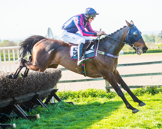 Race 6 - The Open Maiden Race (98 of 120).jpg