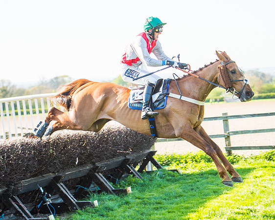 Race 6 - The Open Maiden Race (101 of 120).jpg