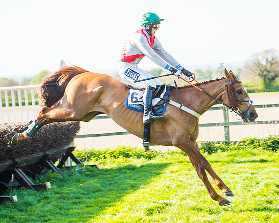Race 6 - The Open Maiden Race (102 of 120).jpg