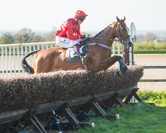 Race 6 - The Open Maiden Race (103 of 120).jpg