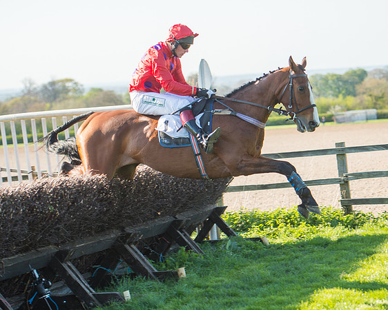 Race 6 - The Open Maiden Race (104 of 120).jpg