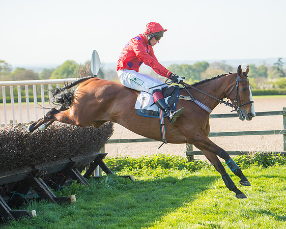 Race 6 - The Open Maiden Race (105 of 120).jpg