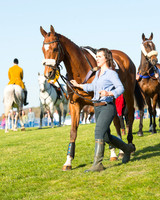 Race 7 - The Restricted Race (15 of 101).jpg