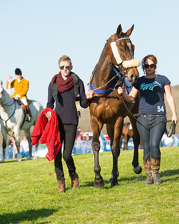 Race 7 - The Restricted Race (17 of 101).jpg