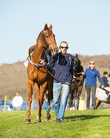 Race 7 - The Restricted Race (22 of 101).jpg