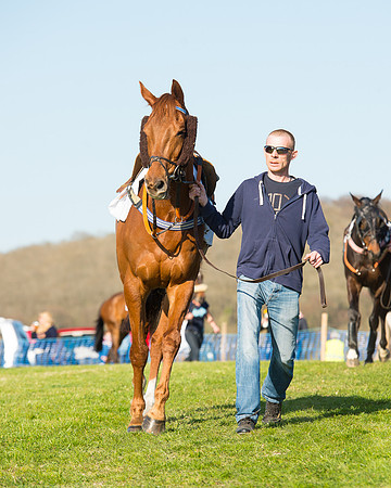 Race 7 - The Restricted Race (23 of 101).jpg
