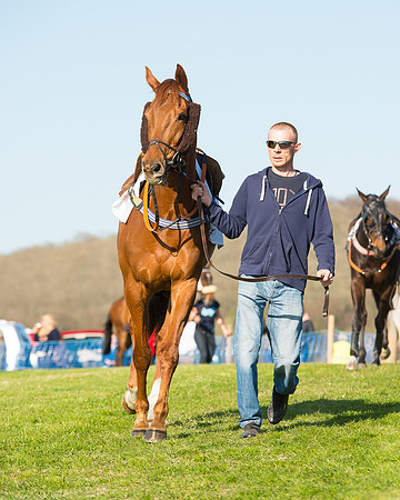 Race 7 - The Restricted Race (24 of 101).jpg