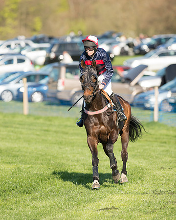 Race 7 - The Restricted Race (34 of 101).jpg