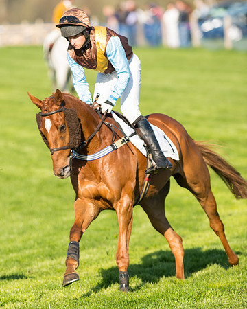 Race 7 - The Restricted Race (39 of 101).jpg