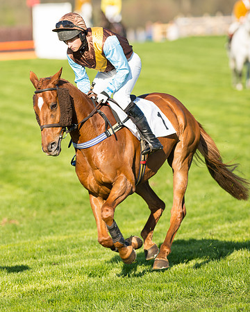 Race 7 - The Restricted Race (41 of 101).jpg