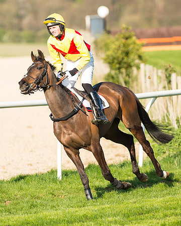 Race 7 - The Restricted Race (46 of 101).jpg