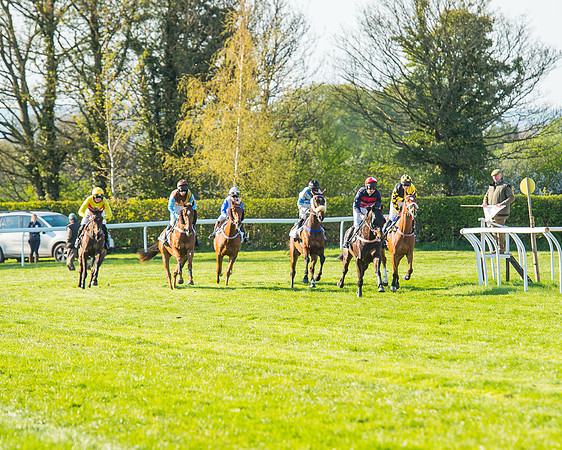 Race 7 - The Restricted Race (48 of 101)