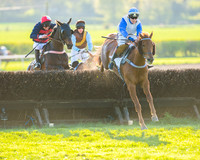Race 7 - Restricted Race