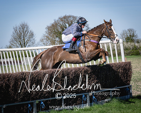 Race 5 - The restricted (53 of 113)