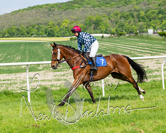 Race 3 - Ladies Open  (44 of 133)