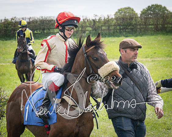 Pony Race 2 (23 of 84)-