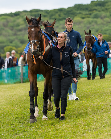 Race 2 - PPORA Novice Riders  (25 of 187)
