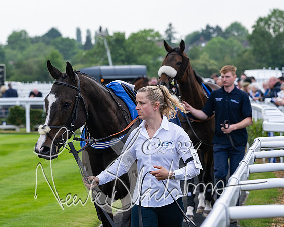 Race 1 - Restricted Novices Hunter Chase (24 of 145)