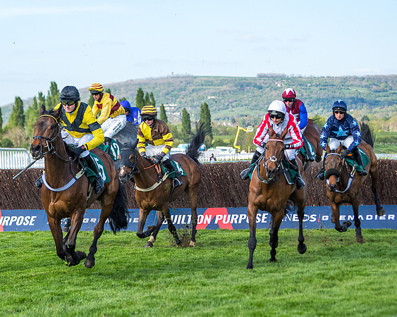 Race 2  -  Intermediate Point to Point Hunters' Steeple Chase (100 of 277)