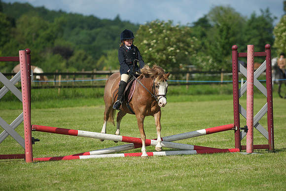 SOHS PC Summer Show at BCA 17th June 2012