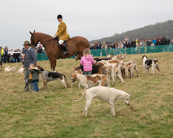 Hounds and Others (52 of 100)