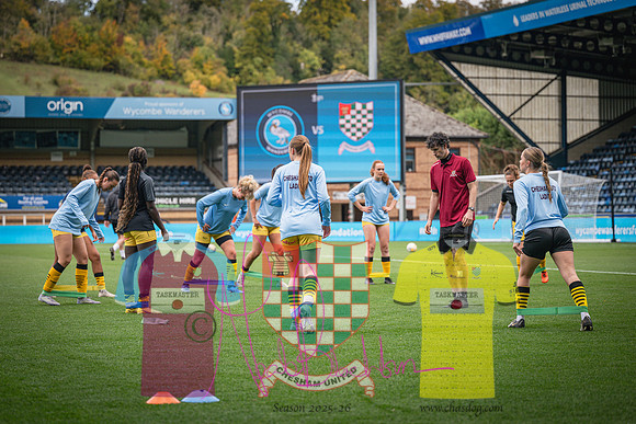 Wycombe Wanderers 4v2 Chesham United (4 of 393)