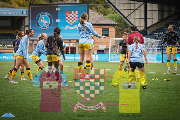 Wycombe Wanderers 4v2 Chesham United (10 of 393)