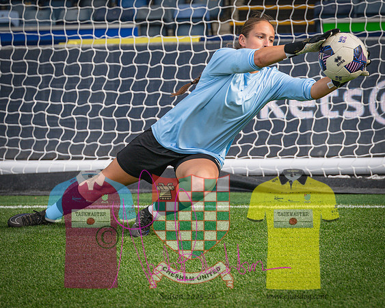 Wycombe Wanderers 4v2 Chesham United (21 of 393)