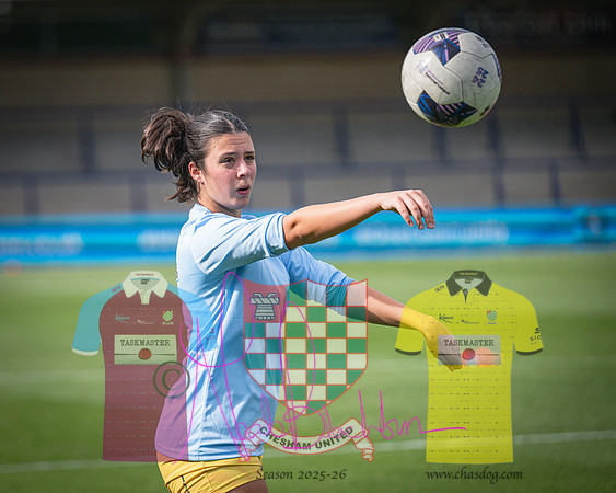 Wycombe Wanderers 4v2 Chesham United (40 of 393)