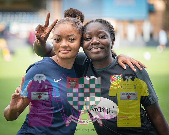 Wycombe Wanderers 4v2 Chesham United (35 of 393)