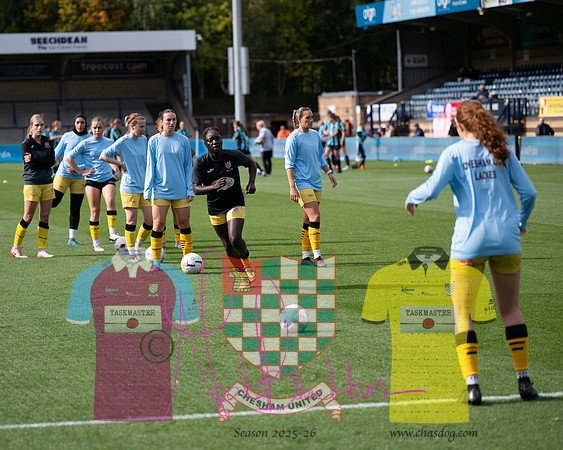 Wycombe Wanderers 4v2 Chesham United (45 of 393)