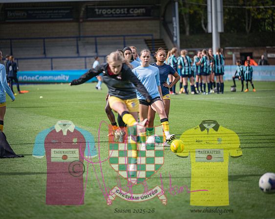 Wycombe Wanderers 4v2 Chesham United (51 of 393)