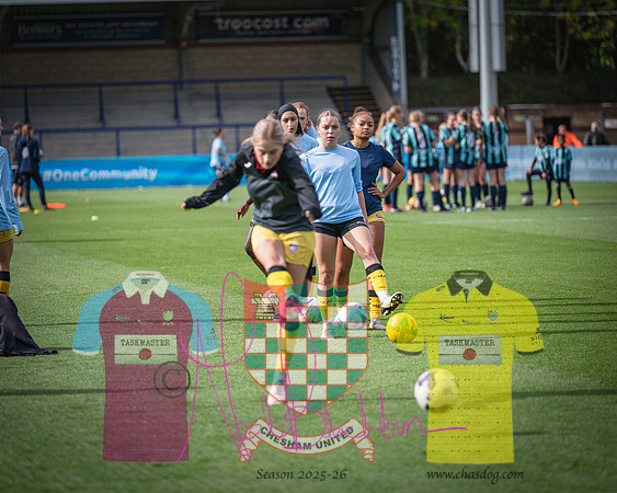 Wycombe Wanderers 4v2 Chesham United (50 of 393)