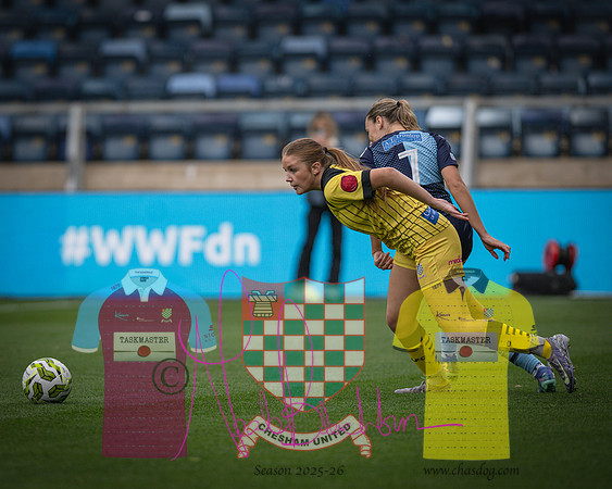 Wycombe Wanderers 4v2 Chesham United (83 of 393)
