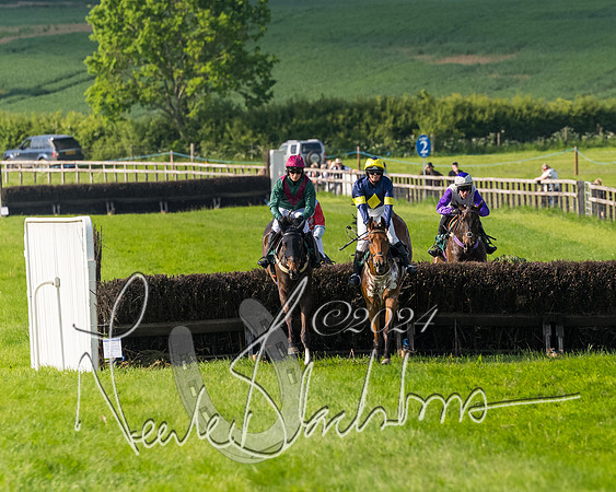 Race 6 - Owner trainer conditions (124 of 272)