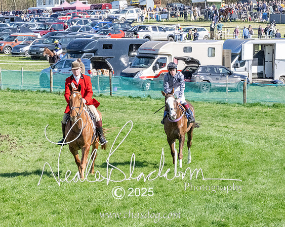 Race 5 - The restricted (20 of 113)