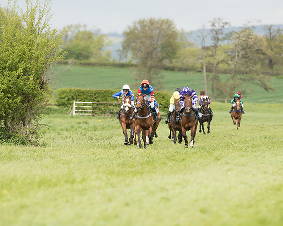 Pony Race 2  (1 of 27).jpg
