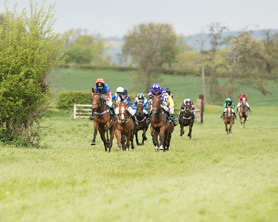 Pony Race 2  (2 of 27).jpg
