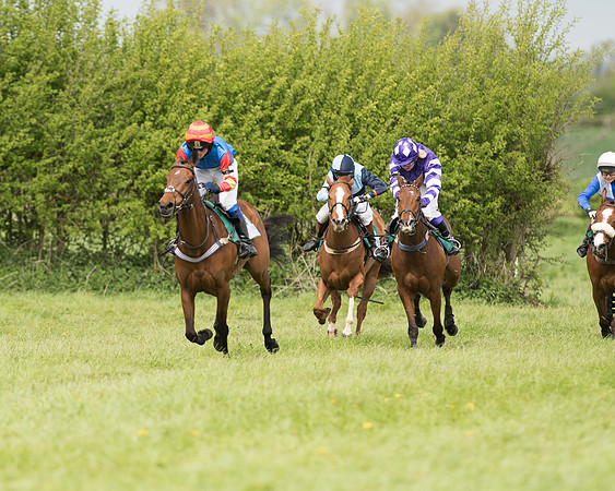 Pony Race 2  (6 of 27).jpg